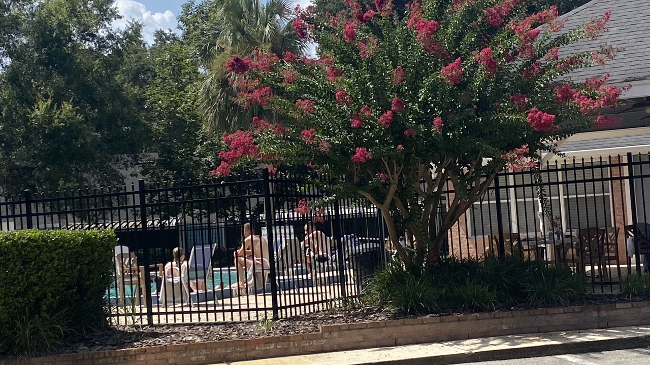 Photo of Outdoor in Gainesville