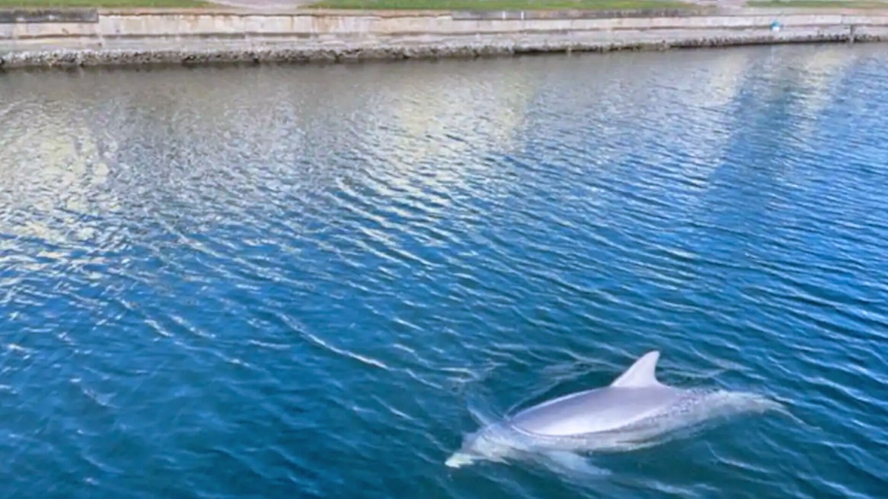 Photo of Outdoor in Coquina Key