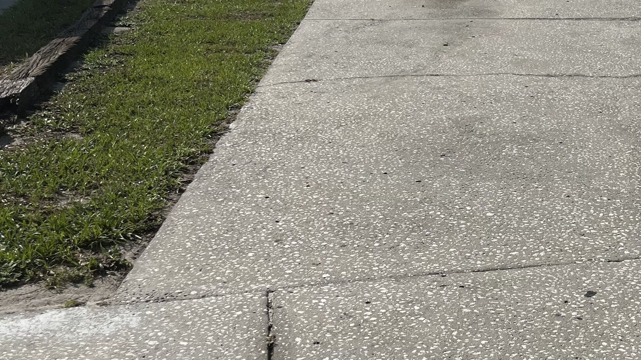 Photo of Outdoor in Citrus Park
