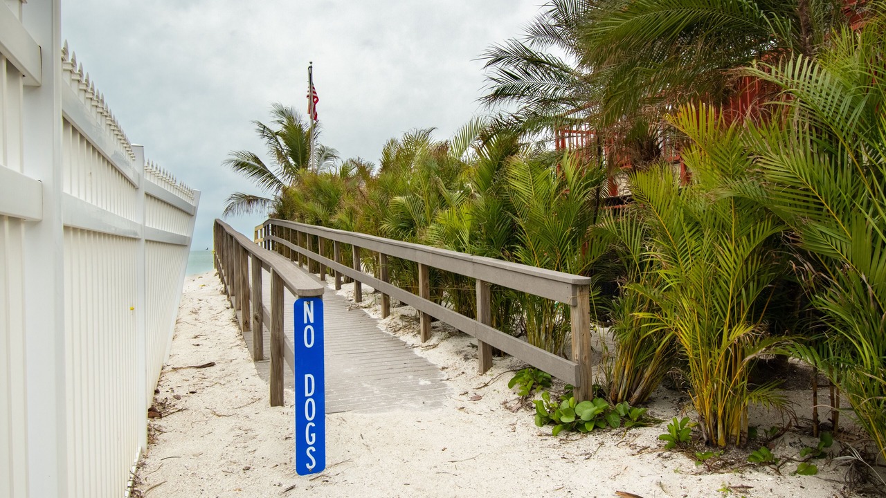 Photo of Others in Sunset Beach