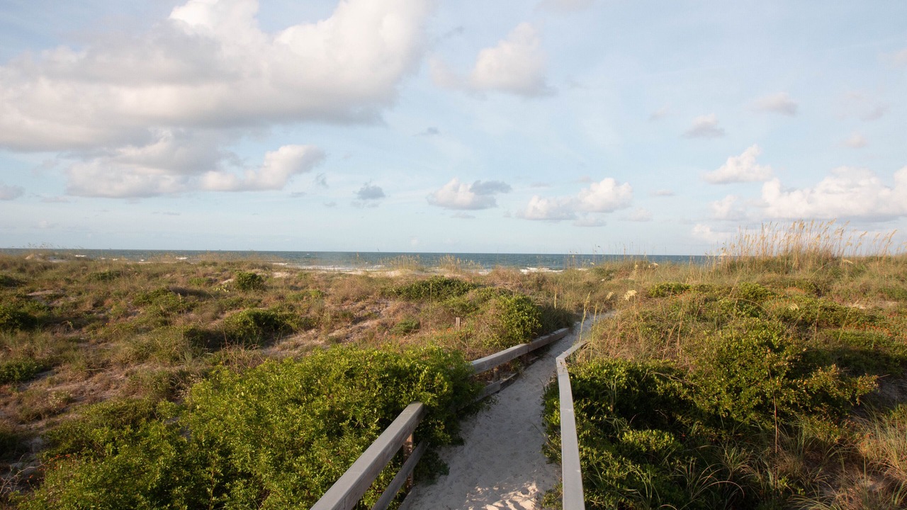 Photo of Others in Butler Beach
