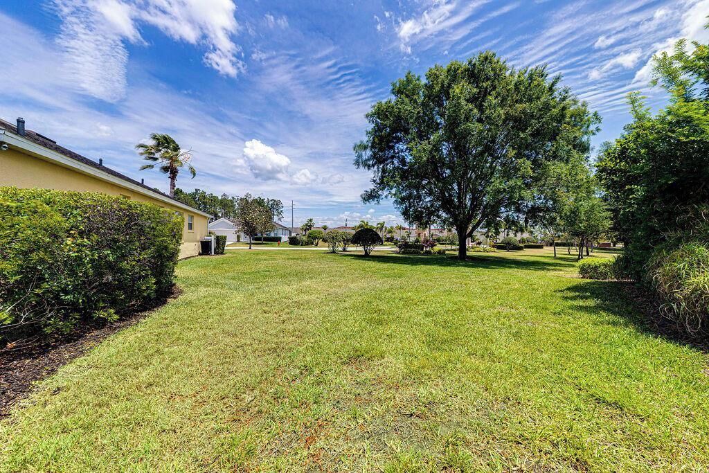 Photo of Others in Florida Pines