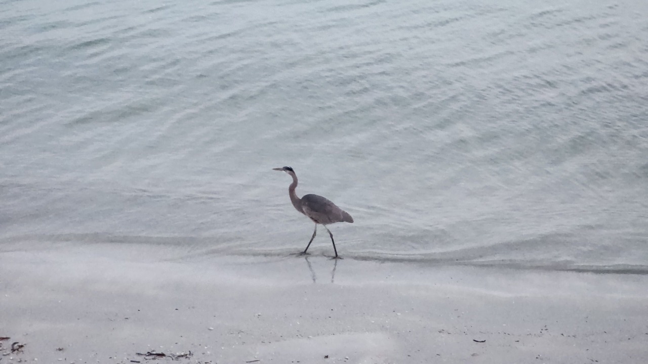 Photo of Others in Largo