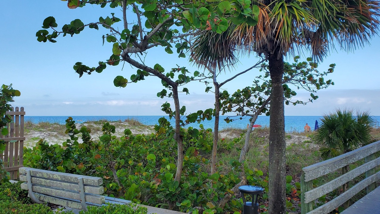 Photo of Outdoor in Largo