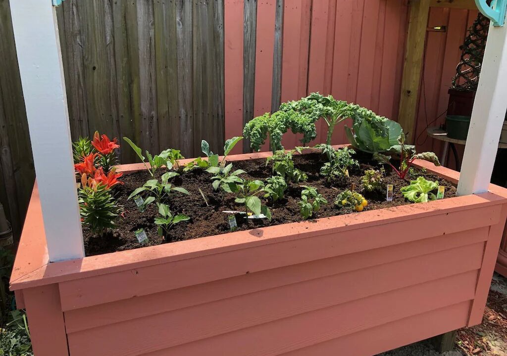 Photo of Outdoor in St. Augustine