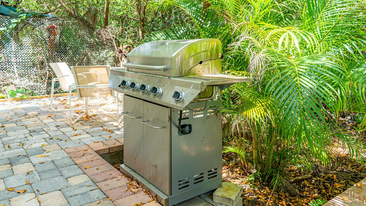 Photo of Outdoor in Indian Shores