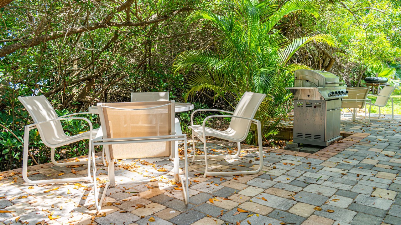 Photo of Outdoor in Indian Shores