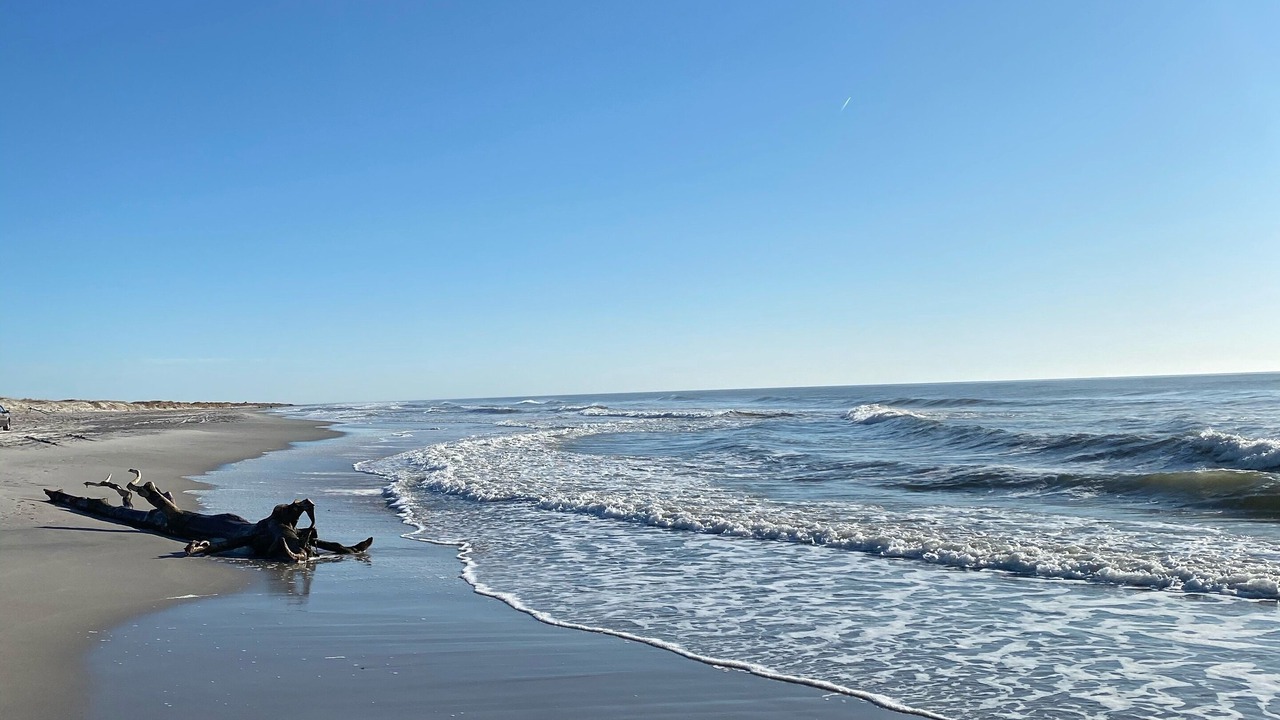 Photo of Others in Brigantine