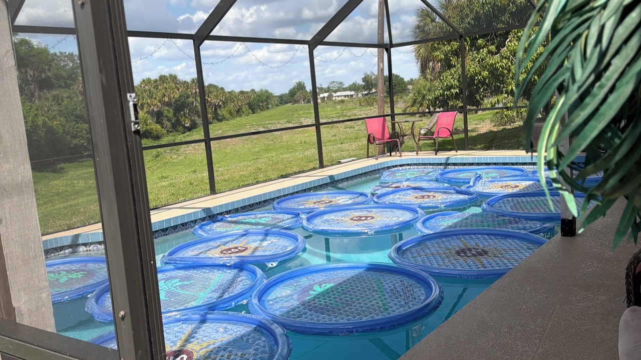 Photo of Outdoor in Venice Groves