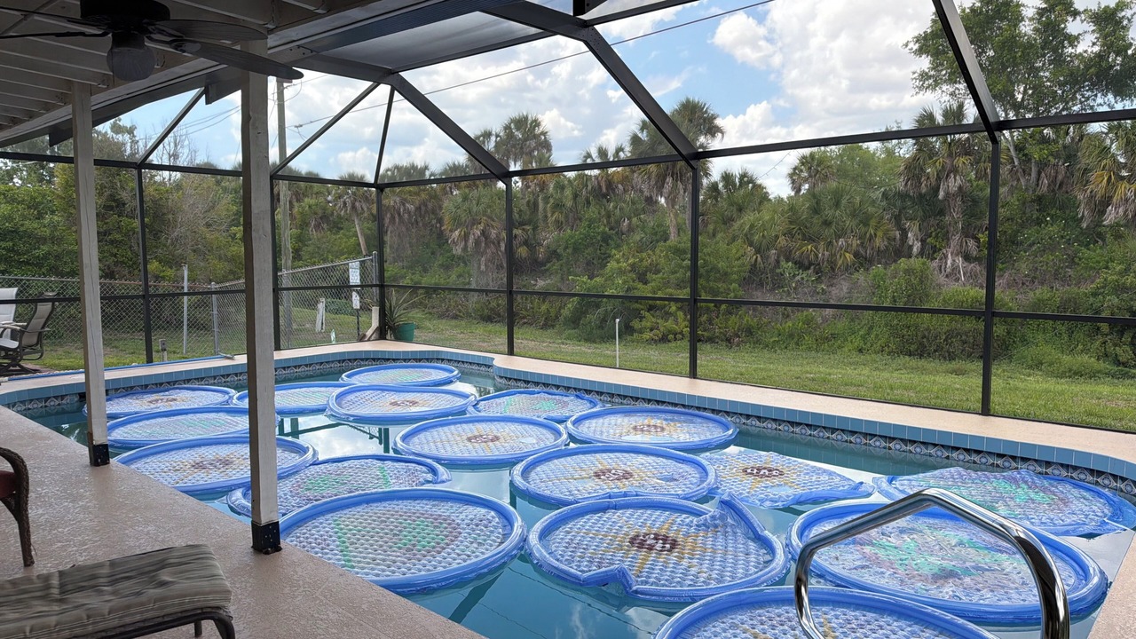 Photo of Outdoor in Venice Groves