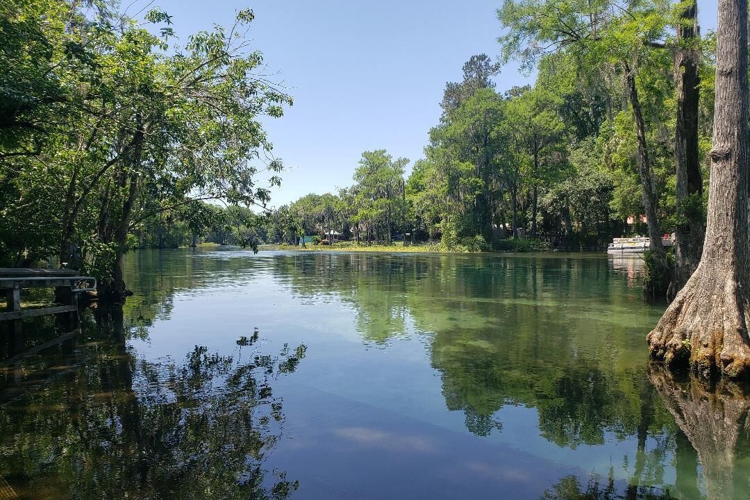 Photo of Others in Dunnellon