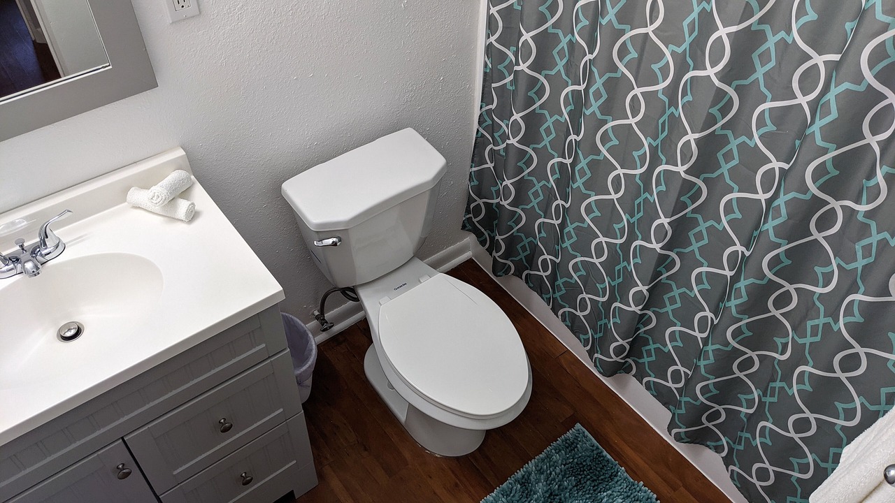 Photo of Bathroom in South Pinellas Community Council