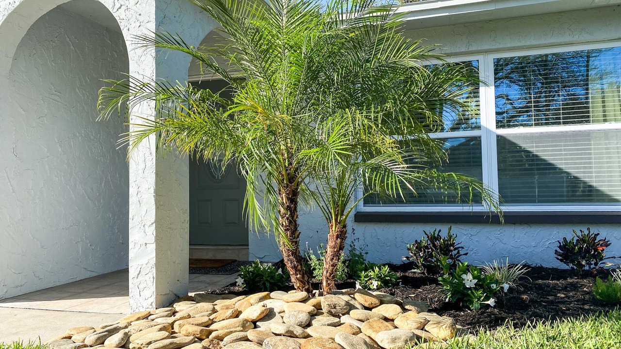 Photo of Outdoor in Clearwater