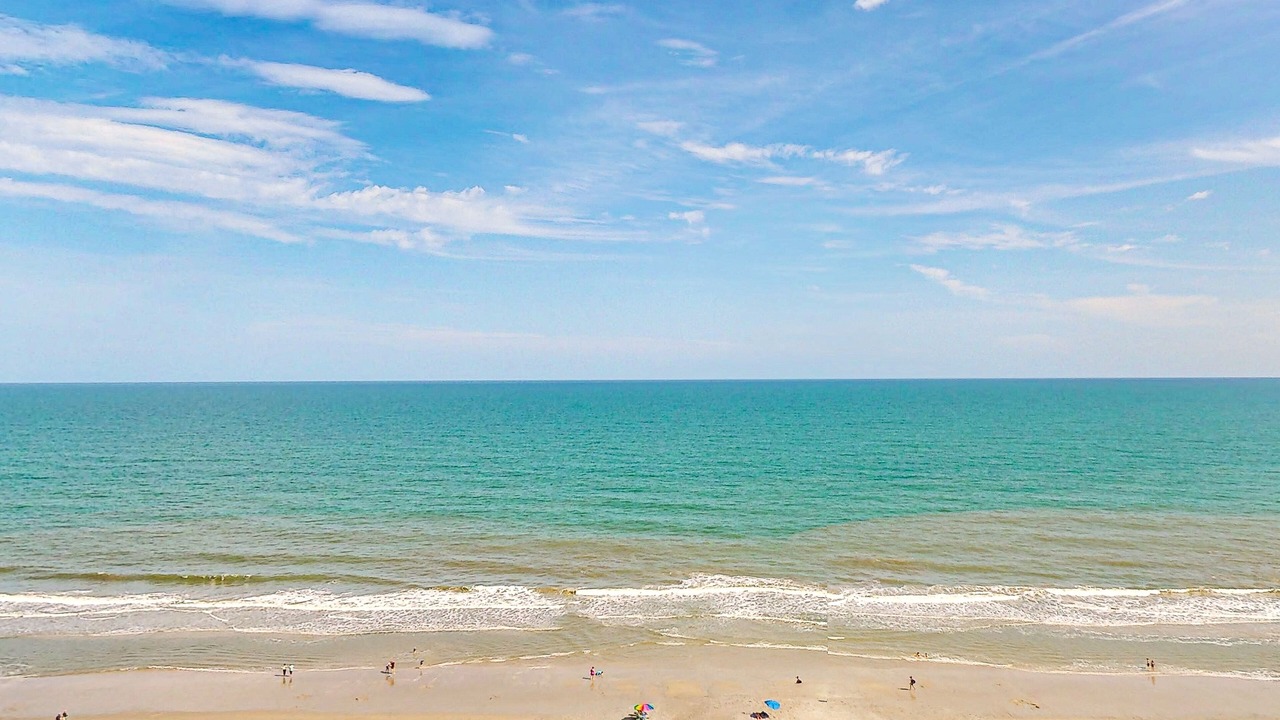 Photo of Others in Myrtle Beach