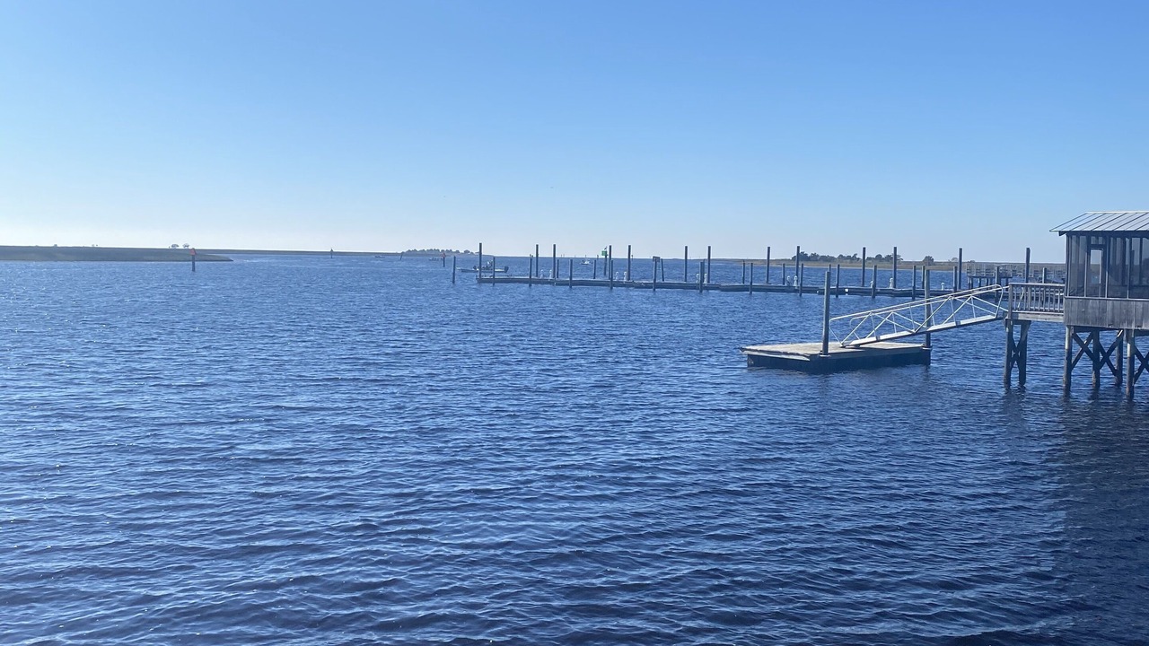 Photo of Others in Steinhatchee