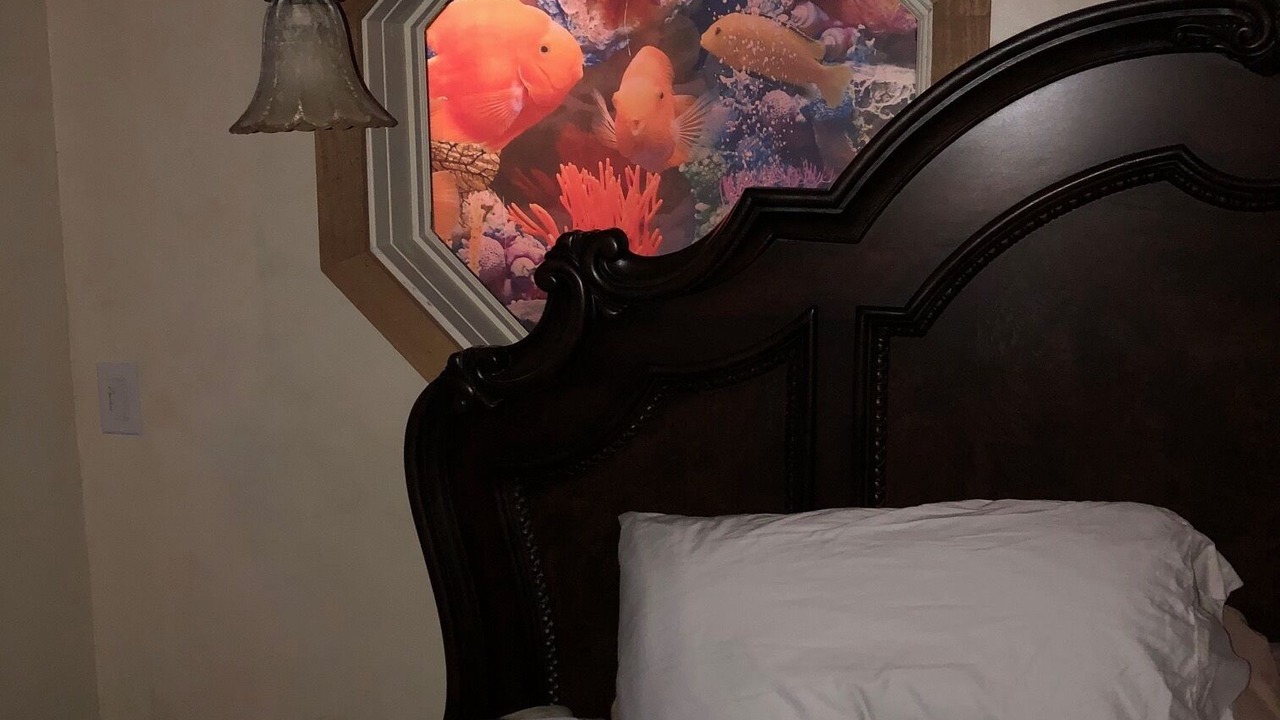 Photo of Bedroom in Treasure Island