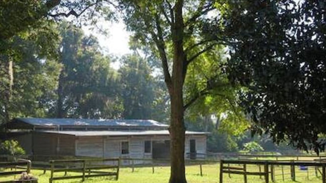 Photo of Outdoor in Fellowship