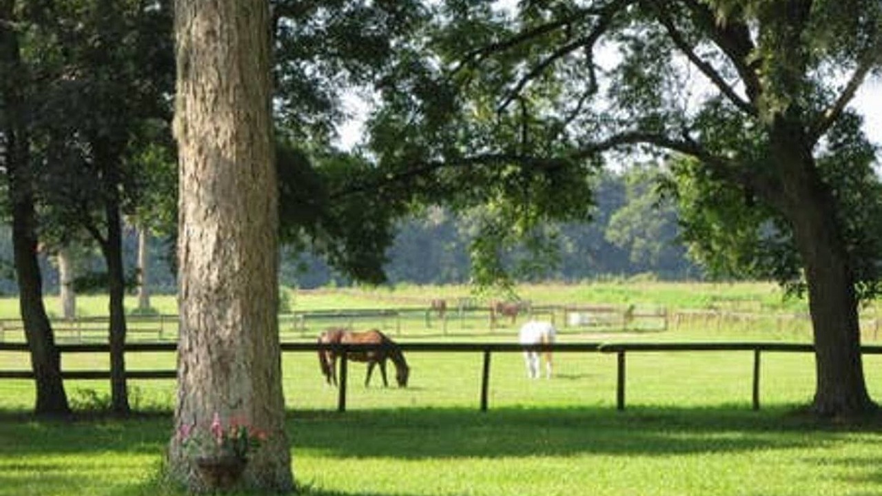 Photo of Outdoor in Fellowship