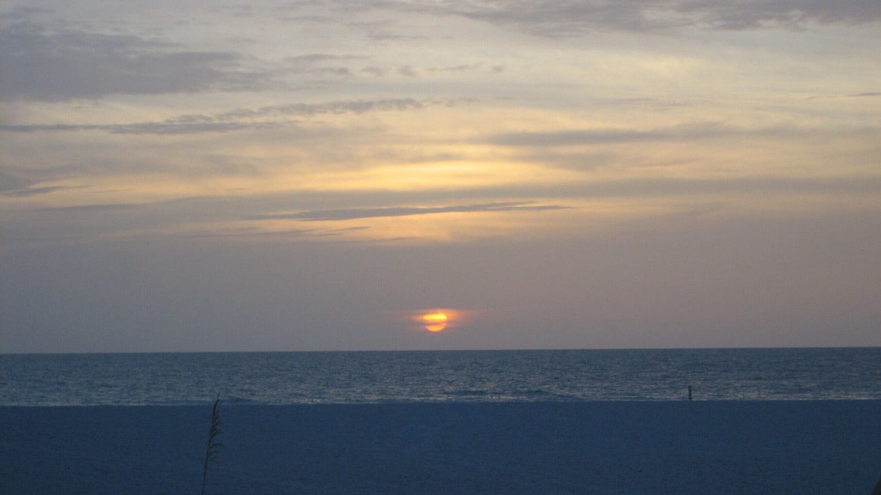 Photo of Others in Sand Key