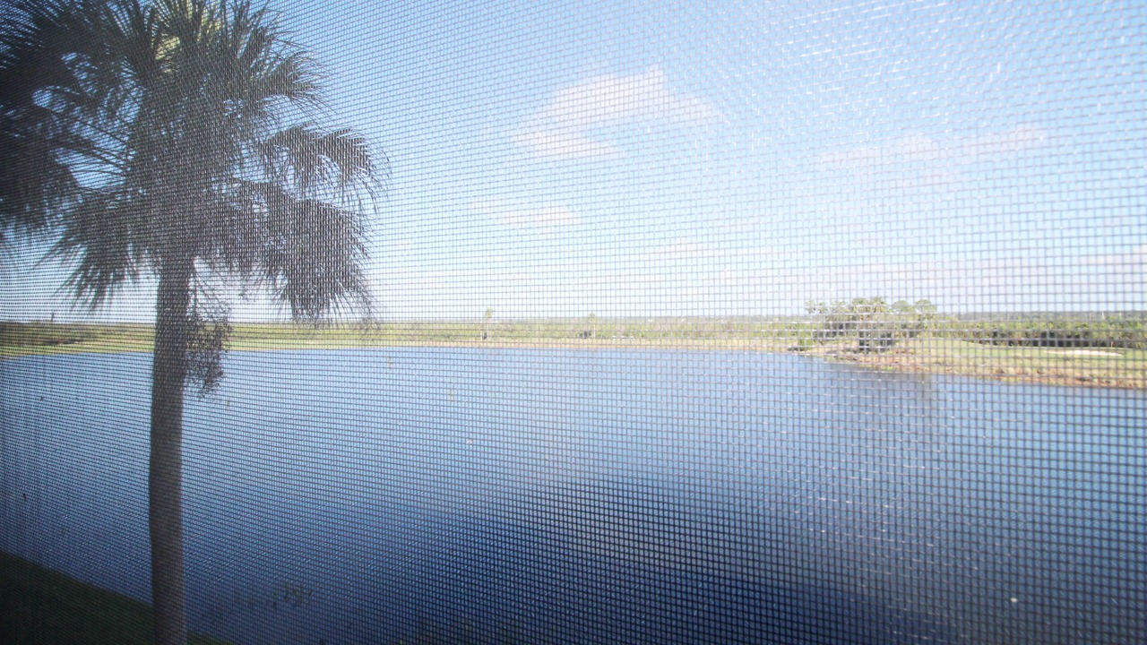 Photo of Others in Braden River