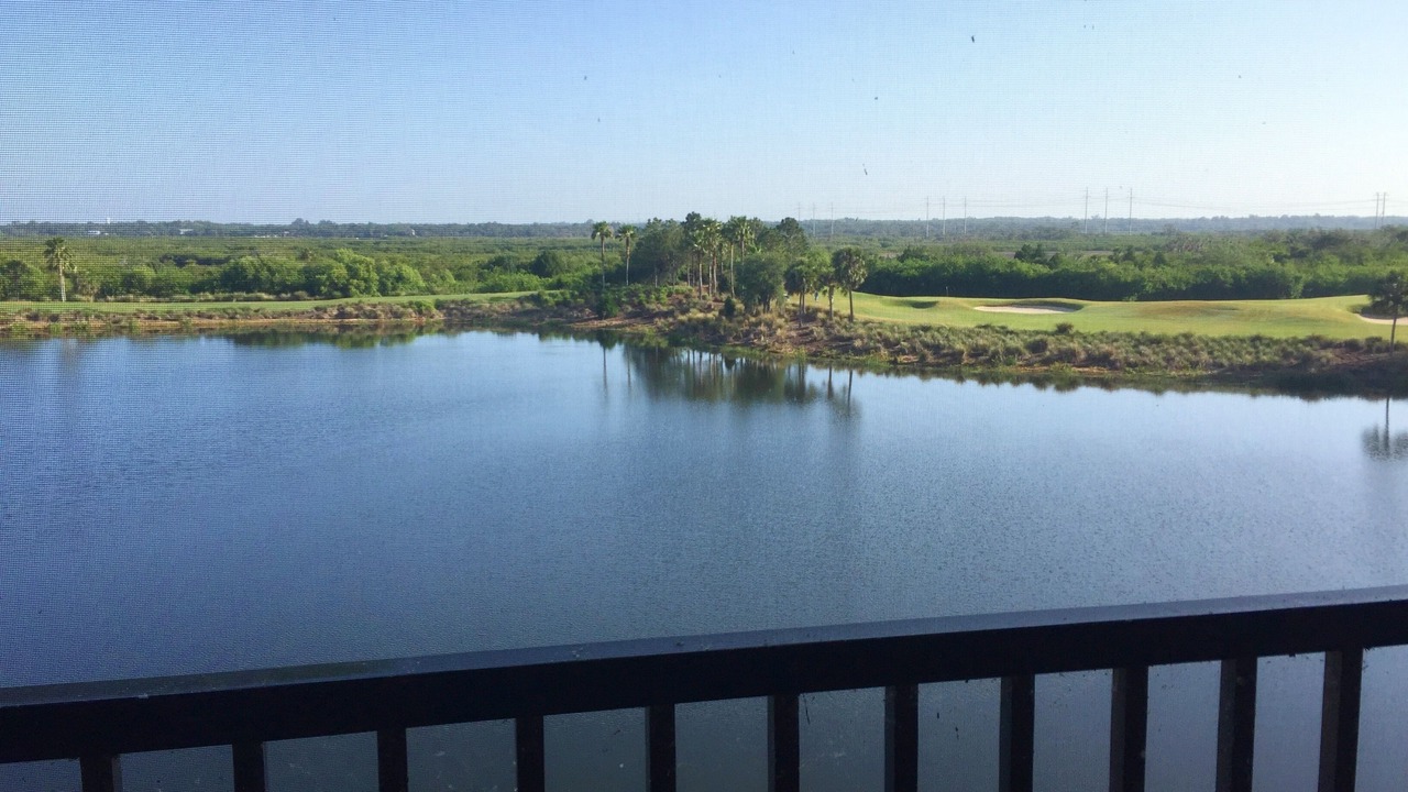 Photo of Outdoor in Braden River