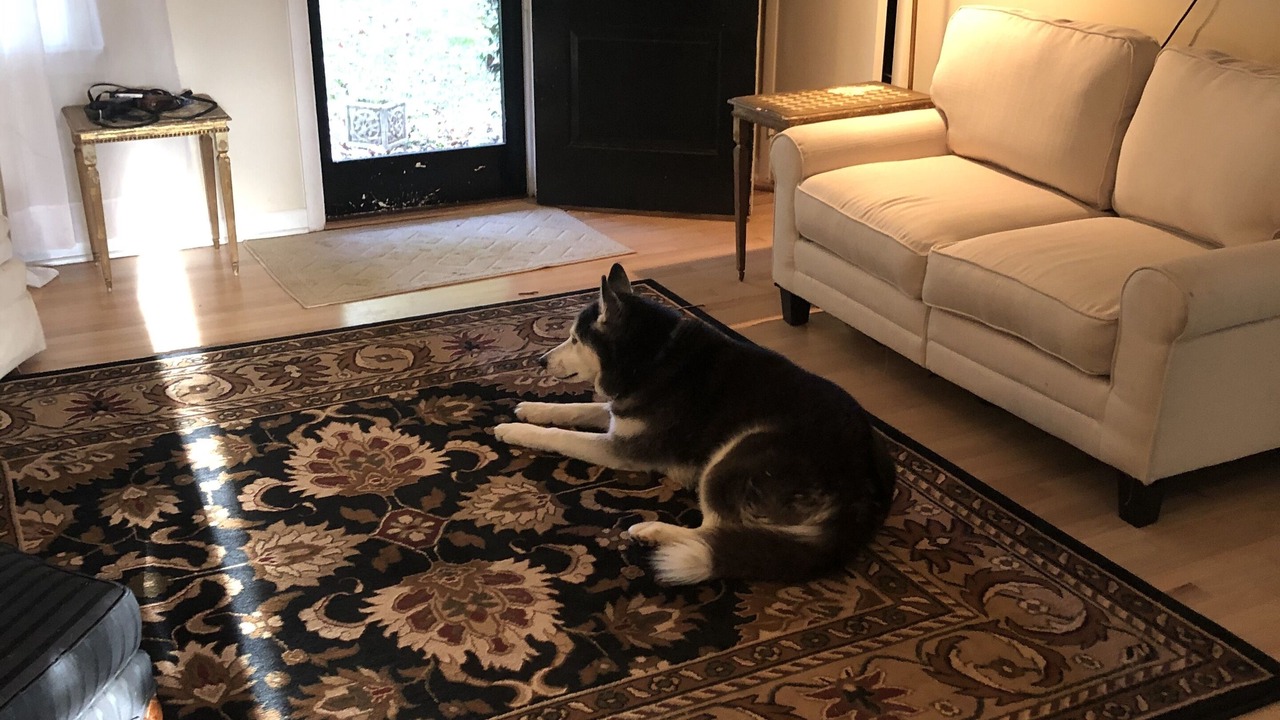Photo of Livingroom in Lynn