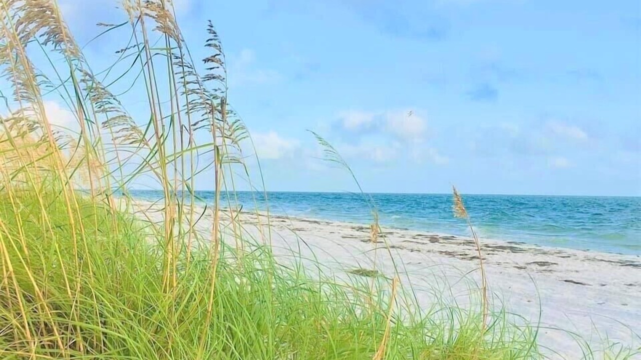 Photo of Others in Bradenton Beach