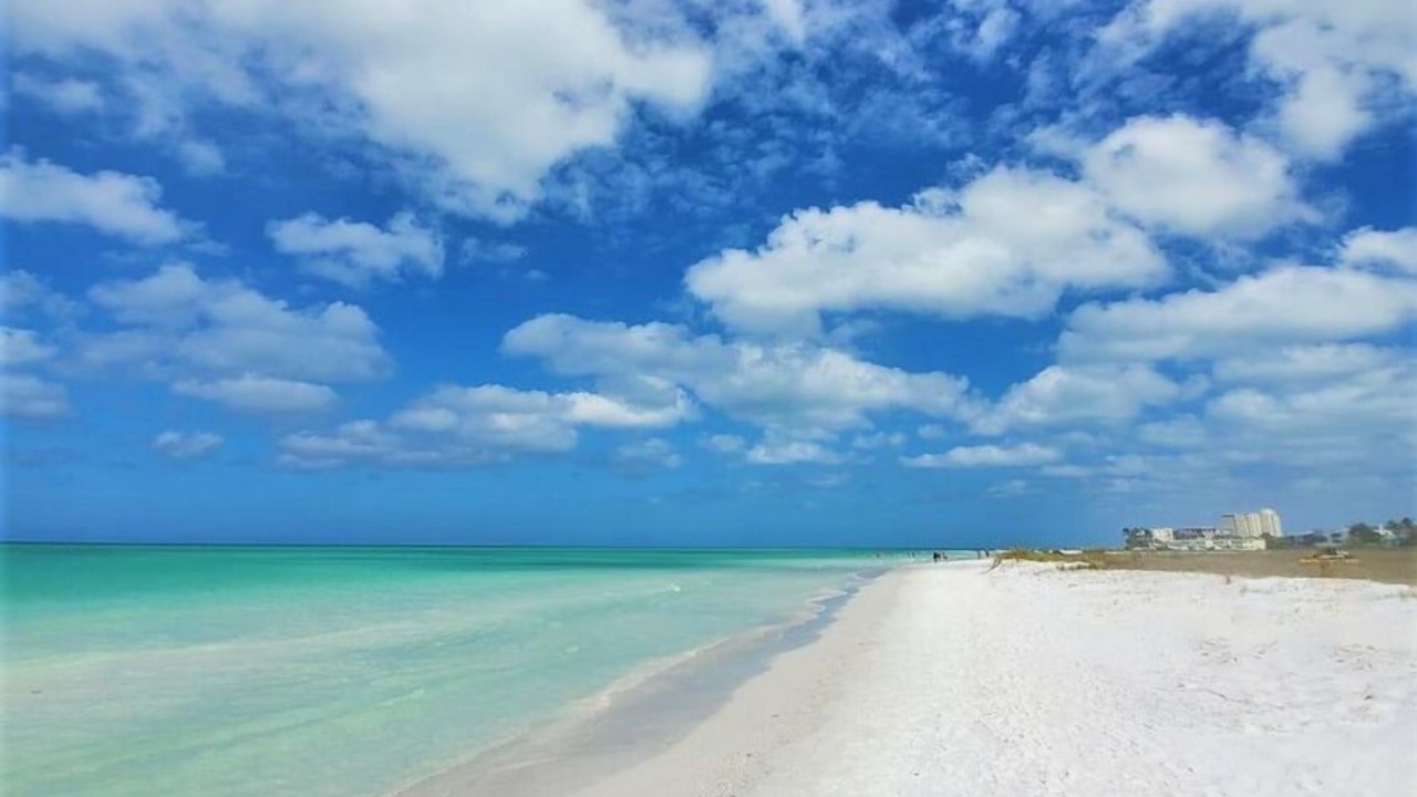 Photo of Others in Bradenton Beach