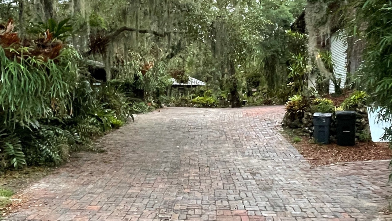 Photo of Others in Old Homosassa
