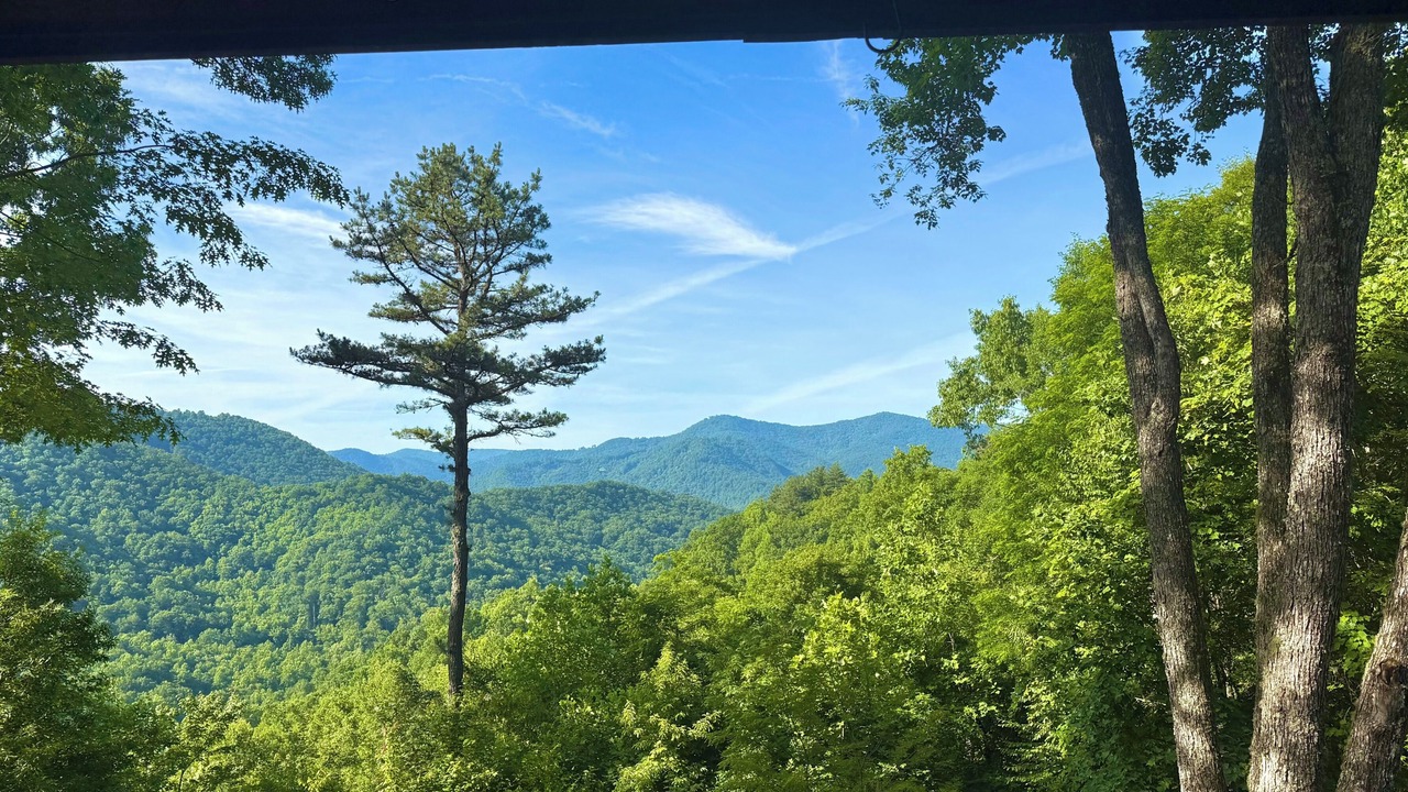 Photo of Others in Tuckasegee