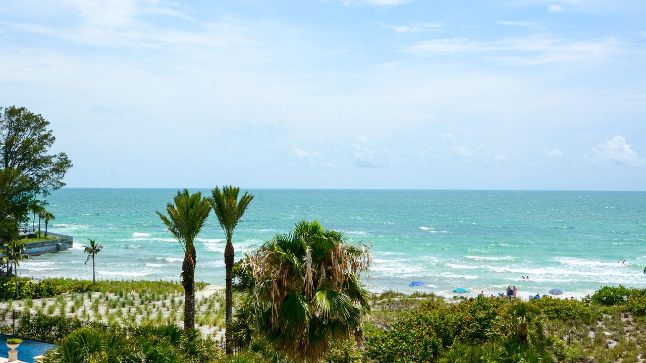 Photo of Others in Siesta Key