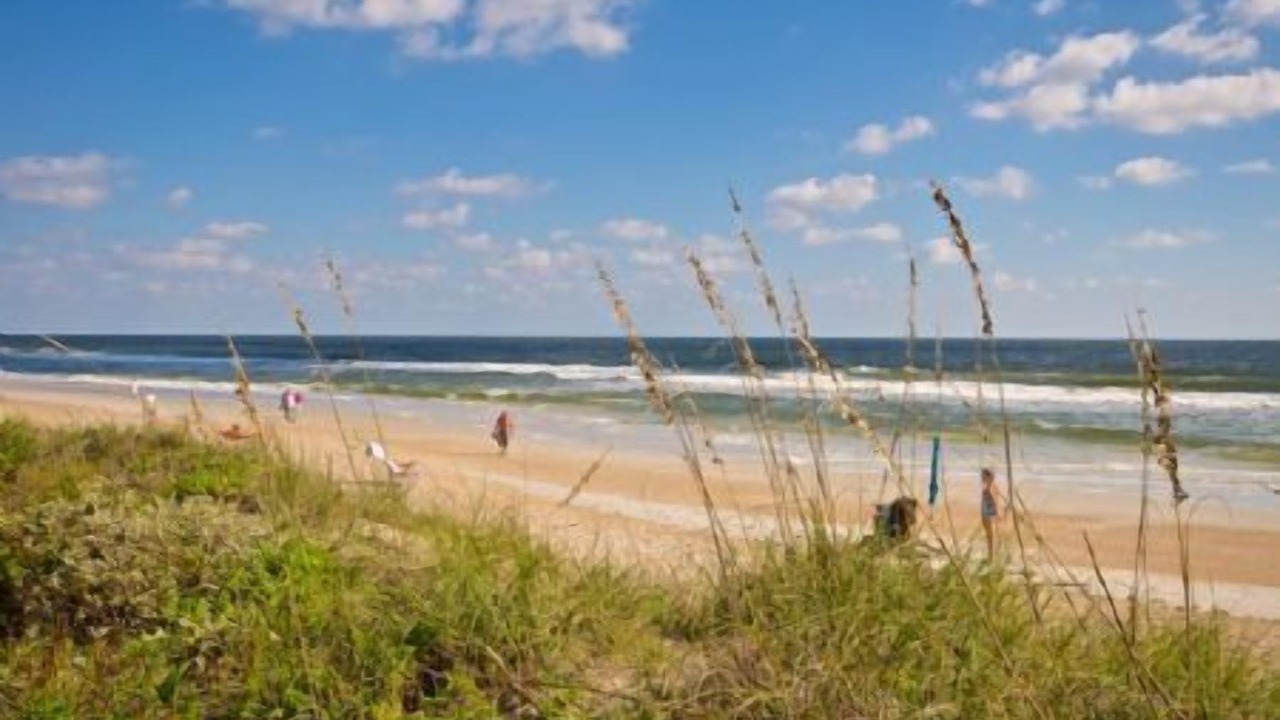 Photo of Others in Butler Beach