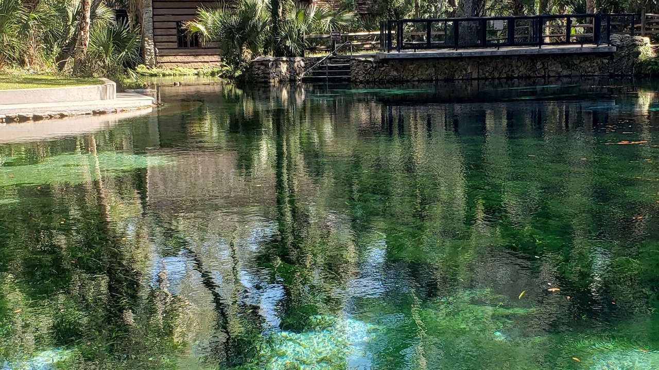 Photo of Others in Salt Springs