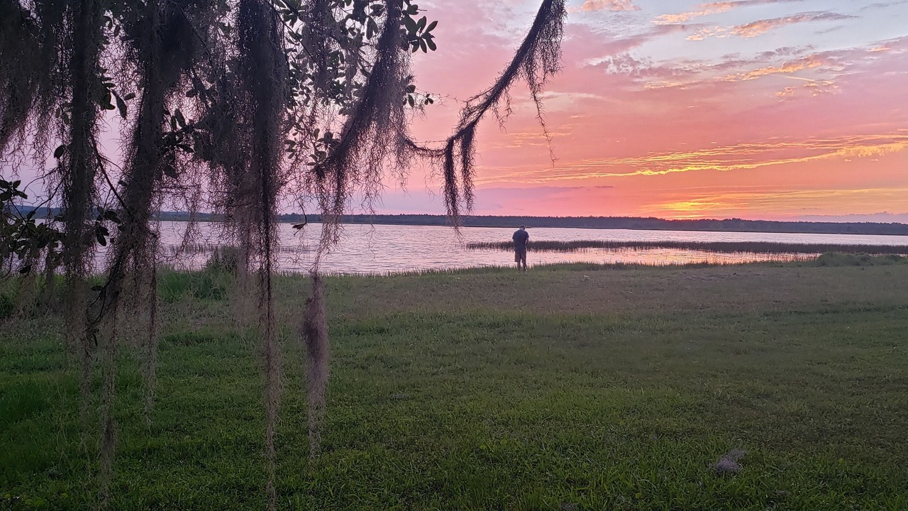 Photo of Others in Salt Springs