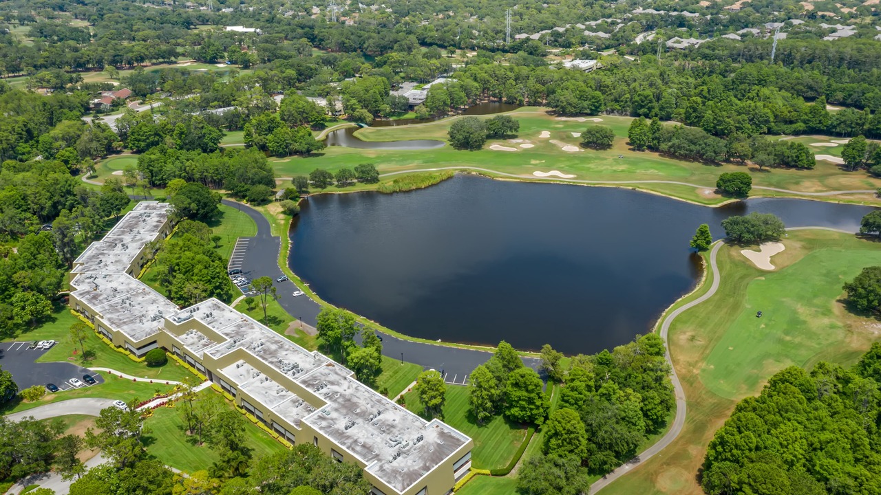 Photo of Outdoor in Palm Harbor