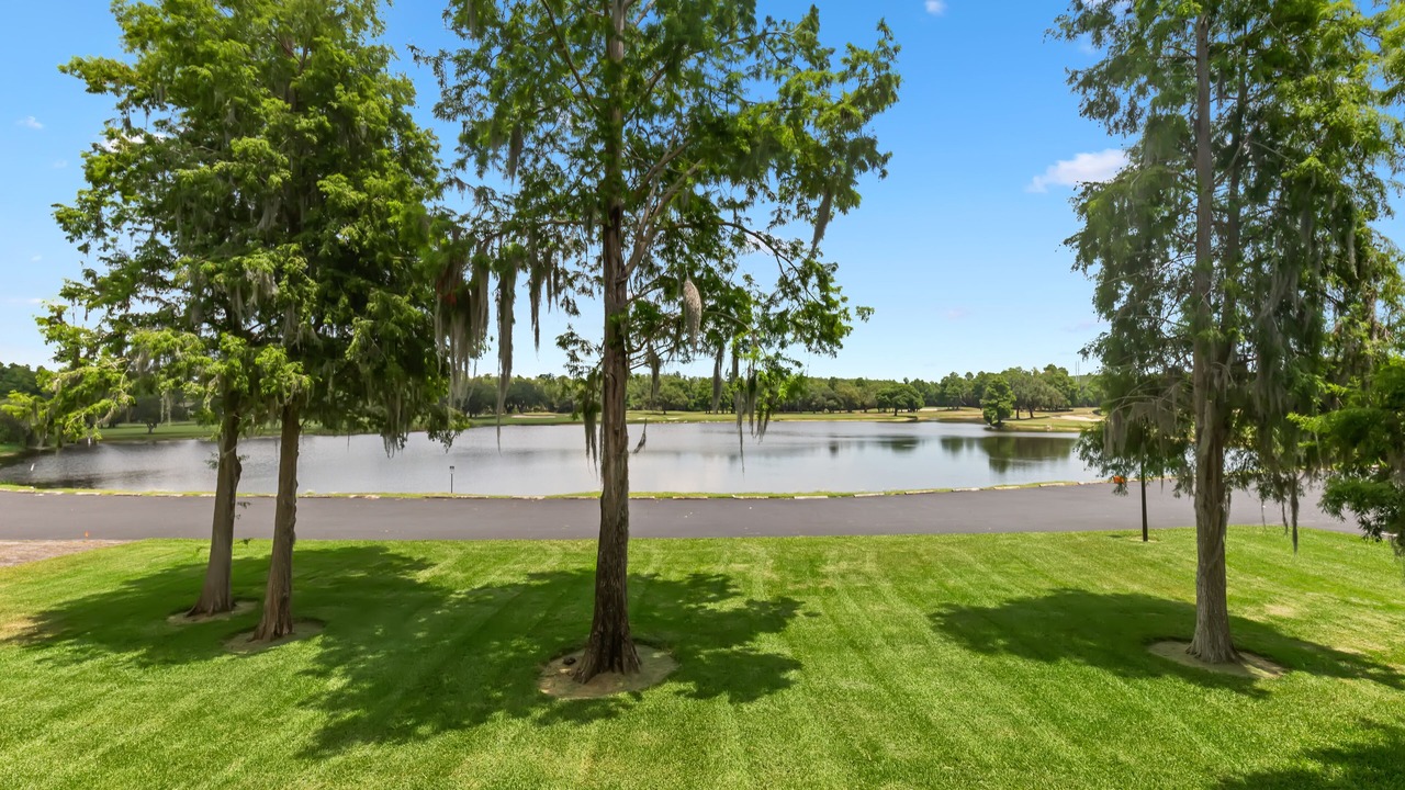 Photo of Outdoor in Palm Harbor