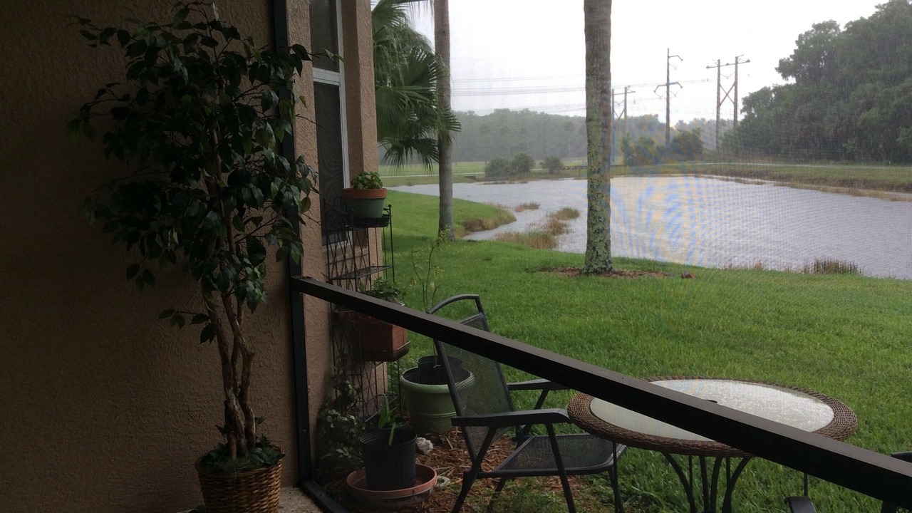 Photo of Outdoor in Braden River