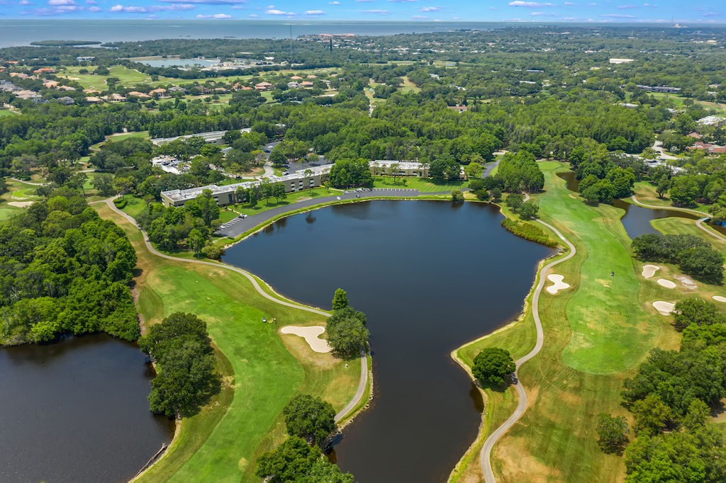 Photo of Outdoor in Palm Harbor