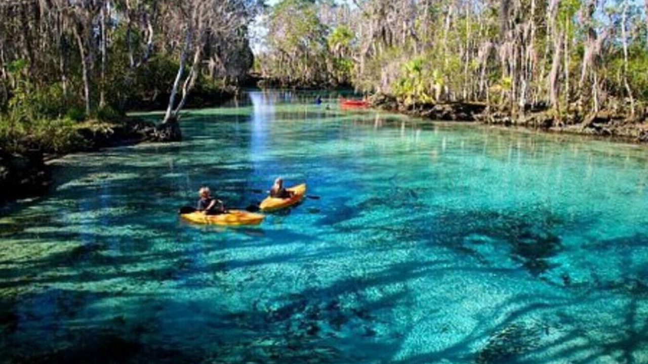 Photo of Others in Homosassa