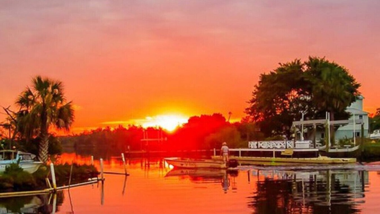 Photo of Others in Homosassa