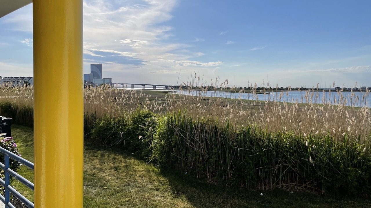 Photo of Outdoor in Southend