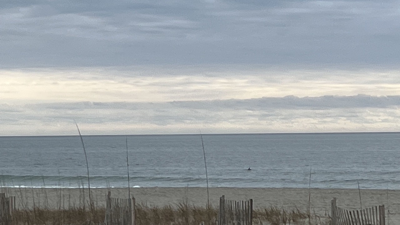 Photo of Others in Holden Beach