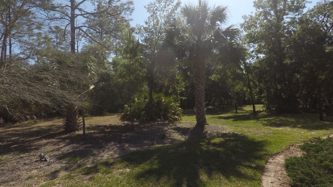 Photo of Outdoor in Pine Ridge