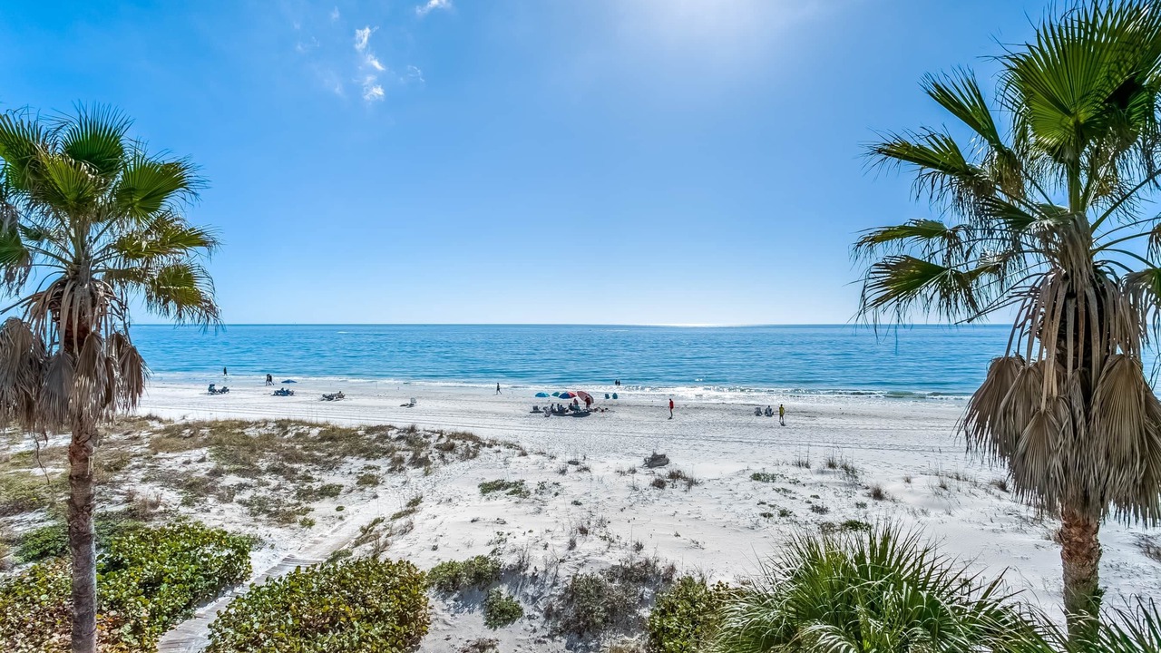 Photo of Others in Madeira Beach