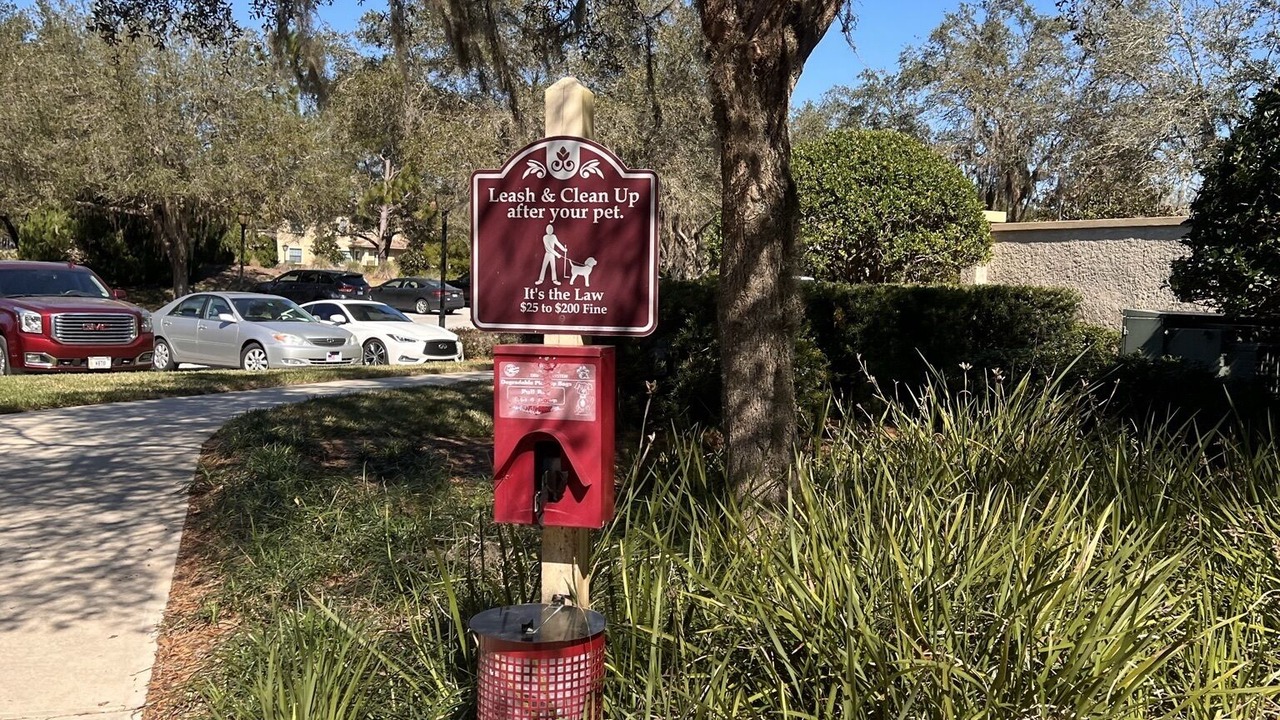 Photo of Outdoor in St. Augustine