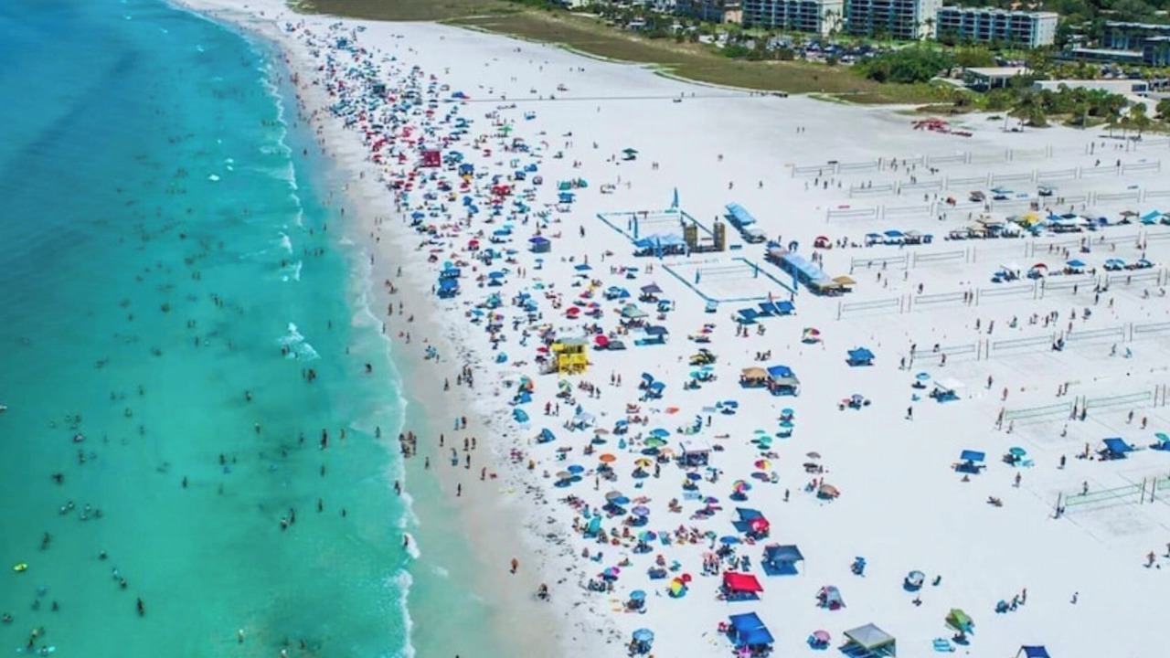 Photo of Others in South Sarasota