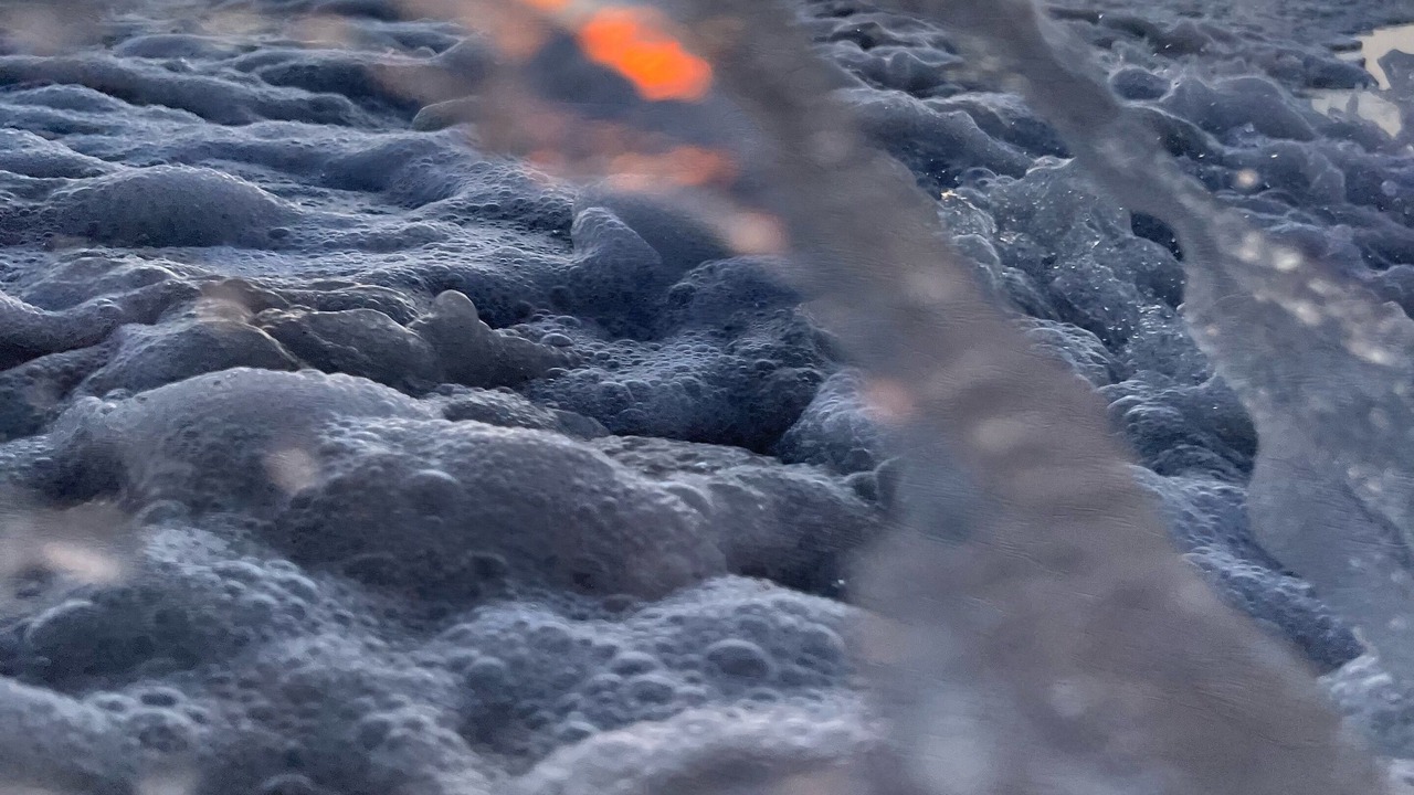 Photo of Outdoor in Sarasota