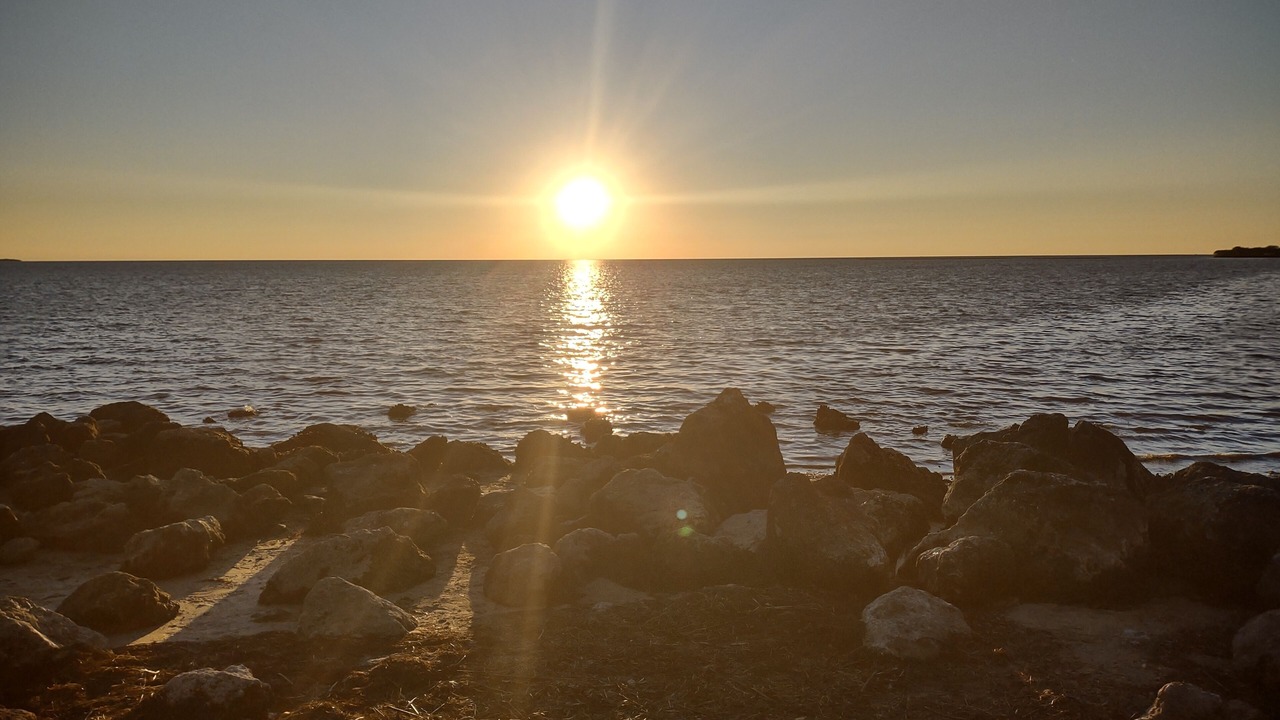 Photo of Others in Crystal River