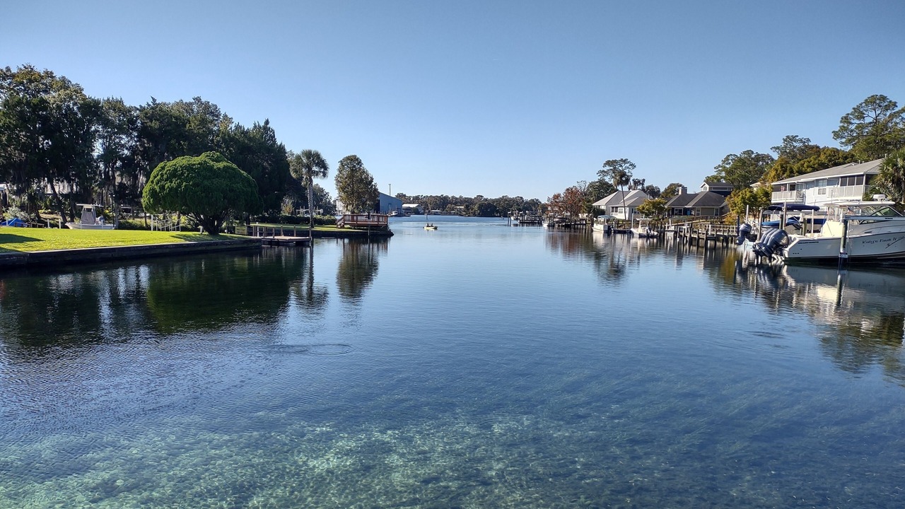 Photo of Others in Crystal River