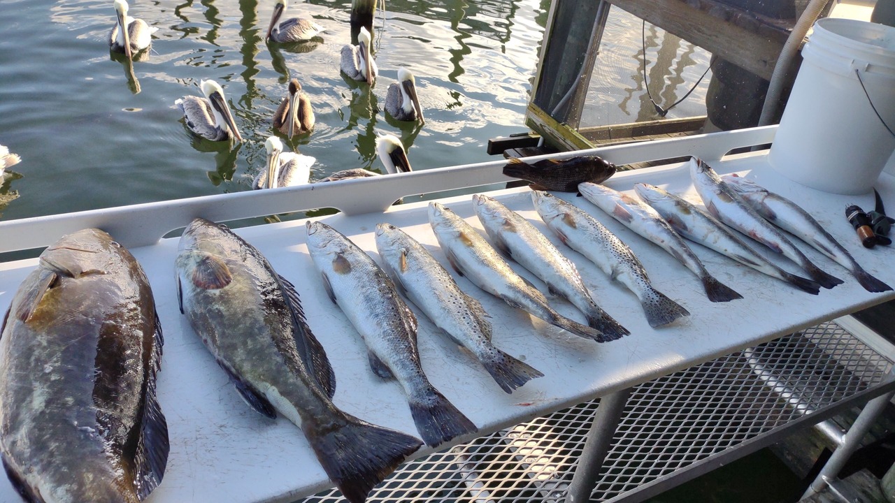 Photo of Others in Crystal River